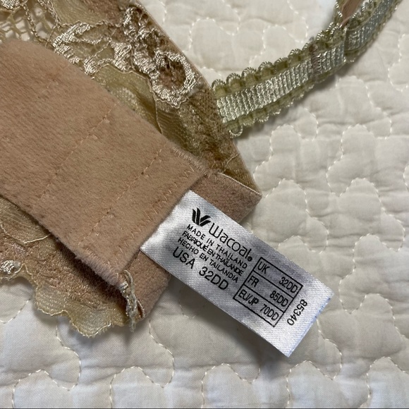 Wacoal Lightly Lined Bra - Picture 5 of 7